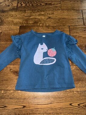 TEA Blue Ruffle Long Sleeve Top Size 2T